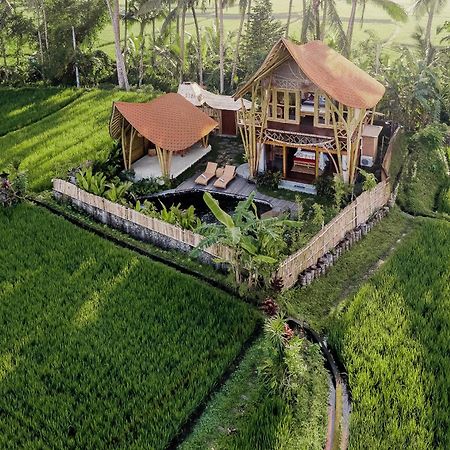 Arapan Ubud Eco Villa Zewnętrze zdjęcie