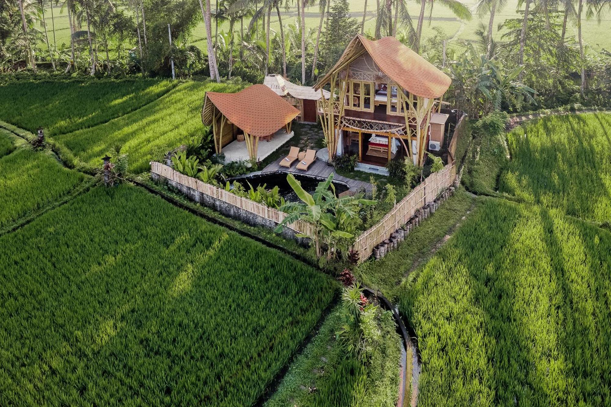 Arapan Ubud Eco Villa Zewnętrze zdjęcie