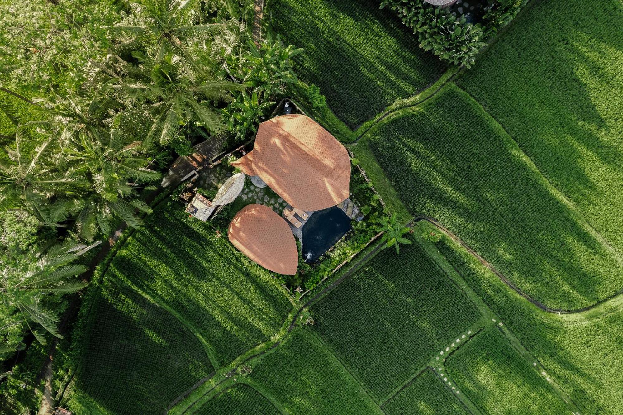 Arapan Ubud Eco Villa Zewnętrze zdjęcie